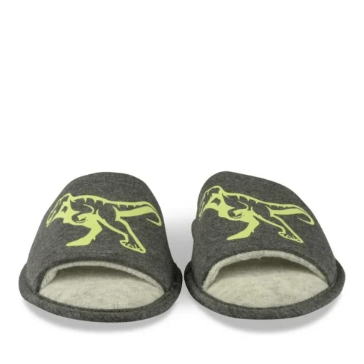 Chaussons GRIS Garçon Motif Dinosaure A Enfiler